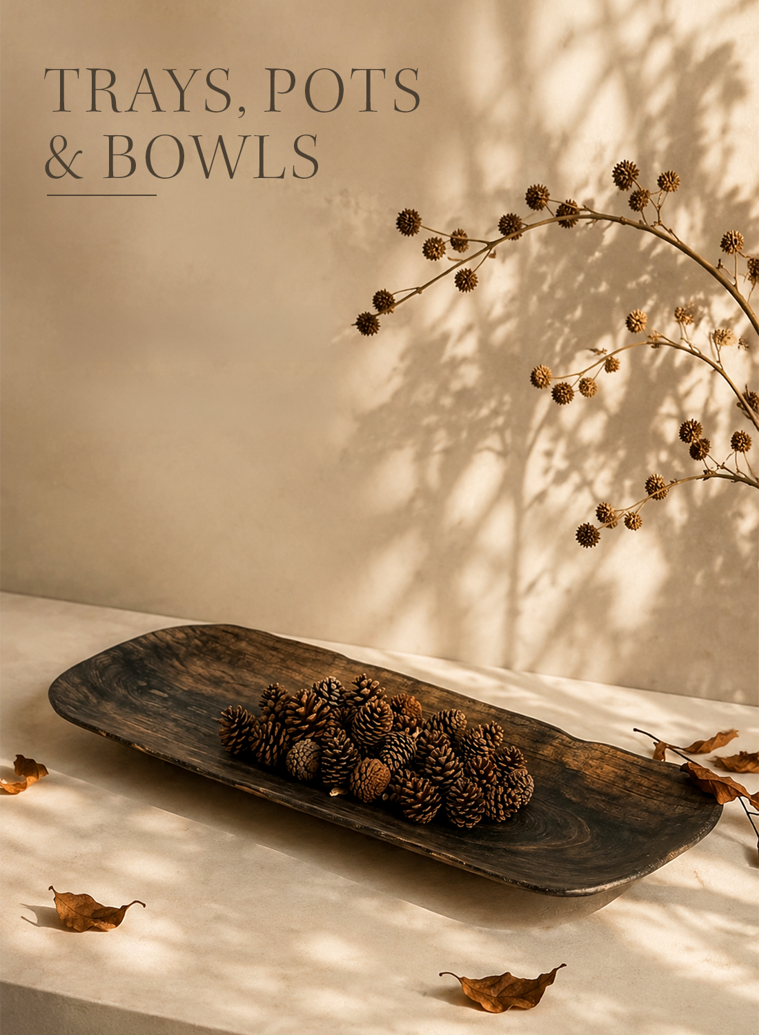 Trays, Pots & Bowls