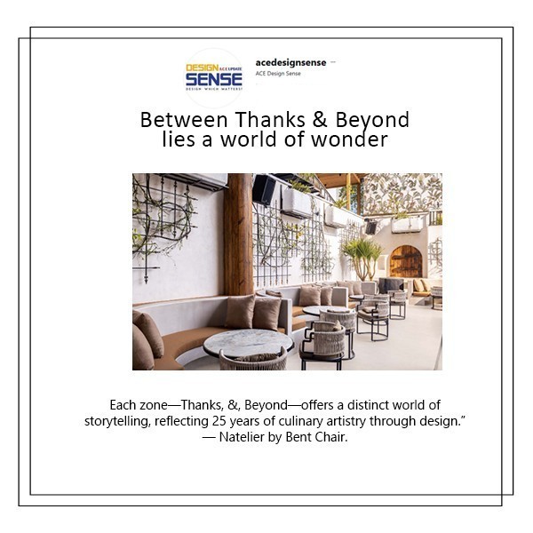 Between Thanks &amp; Beyond lies a world of wonder